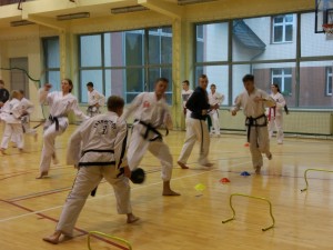 Taekwondo Toruń, Chełmża, Działdowo, Nidzica, Mława (10)  